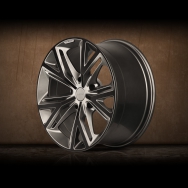 DUX7_22
